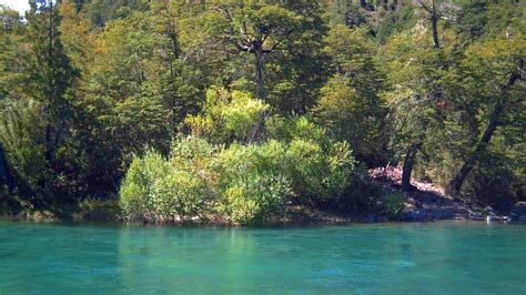 Green Water Chile Landscapes Nature Forests Rivers Turquoise