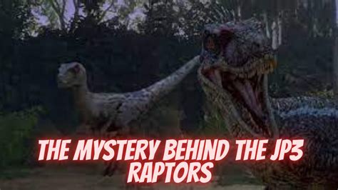 The Mystery Behind The Jp3 Raptors Youtube