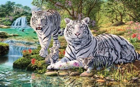 Big Cats Wallpapers Backgrounds