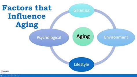 Understanding The Aging Process How Aging Affects Your Nutritional