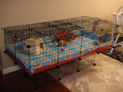 Awesome ideas for guinea pig hutch and cages. Pin on Awesome/DIY