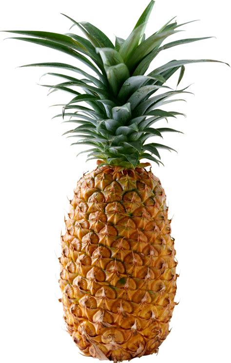 Ananas Png Hd Png Pictures Vhvrs