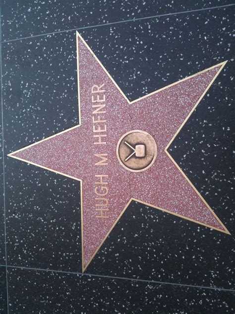 Hollywood Blvd | Hollywood blvd, Hollywood walk of fame star, Hollywood walk of fame
