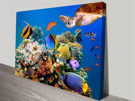 Coralscape Underwater Scene Wall Art Home Decor Ideas Gold Coast Au