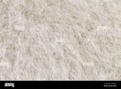 Angora Sweater Hi Res Stock Photography And Images Alamy