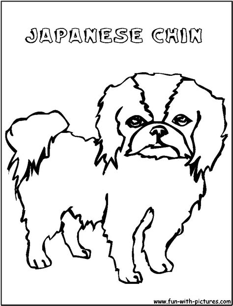 Japanese Chin Coloring Pages Printable Animal Coloring Pages