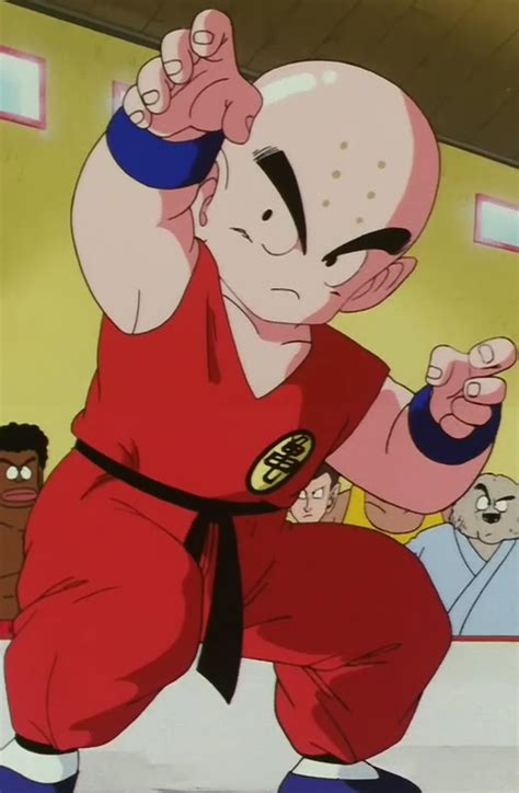 Gohan means rice as you said, or just flat out meal. Kuririn - Silver Shenron