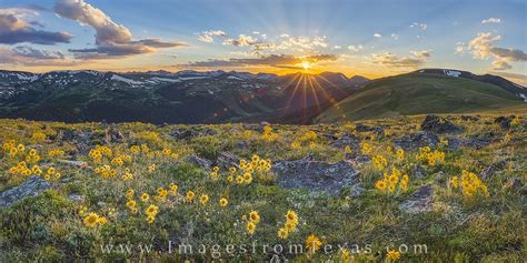 Colorado Sunflower Sunset Panorama 1 Rocky Mountain National Park
