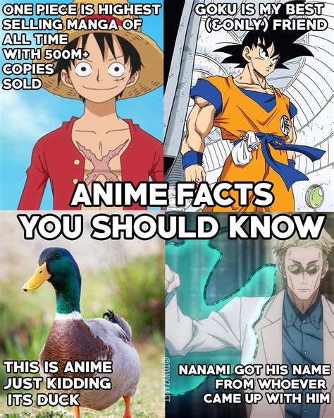Top More Than 66 Facts On Anime In Duhocakina