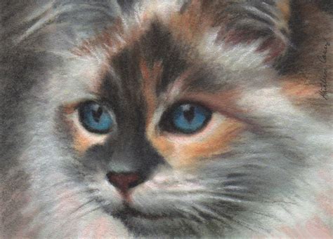 Calico Cat Pastel Painting With Blue Eyes Aceo