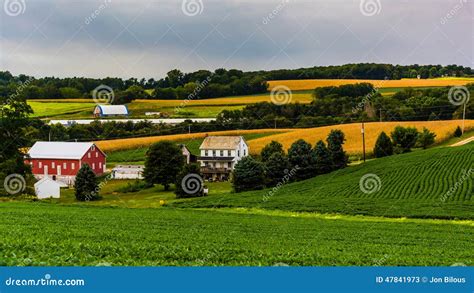 Farm With Rolling Fields Royalty Free Stock Photo