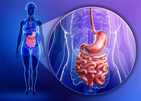 Blog Diagnosing Gastroenterology Conditions With Imaging Studies