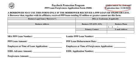 Each is application is designed to serve a different business situation and, for many borrowers, may streamline the steps to forgiveness. SBA Clarifies Filing Date(s) for PPP Loan Forgiveness - GYF