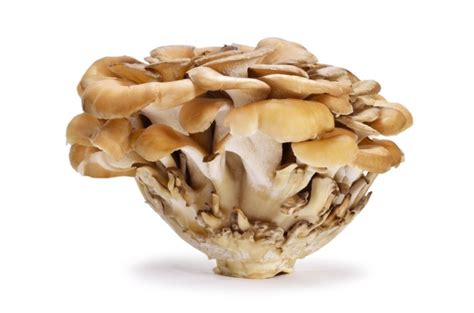 7 Types Of Japanese Mushrooms And Their Health Benefits
