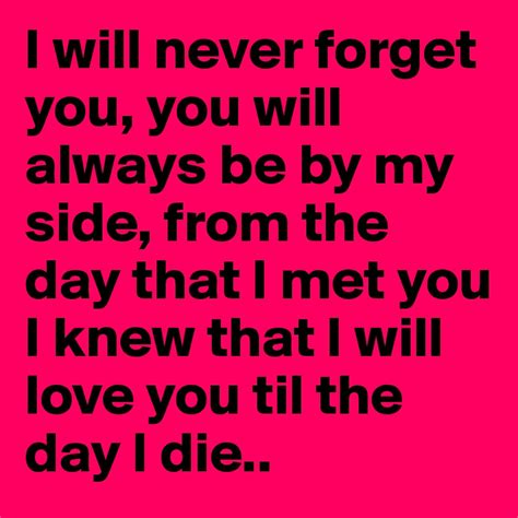 I Will Never Forget You You Will Always Be By My Side From The Day