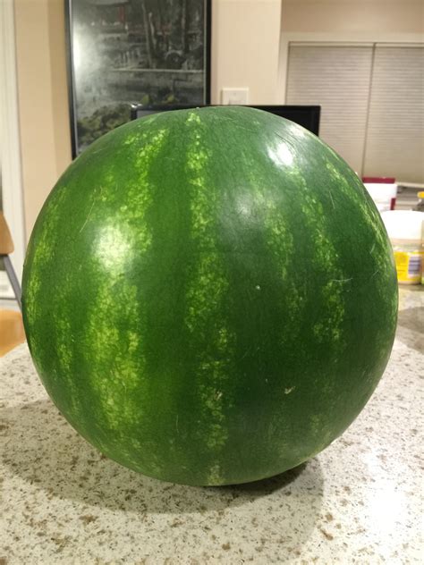 A Very Spherical Watermelon Rmildlyinteresting