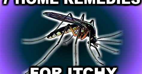 the city girl gardener 7 home remedies for itchy mosquito bites