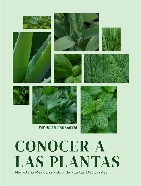 Conocer A Las Plantas By Ana Karen García Madrigal Issuu