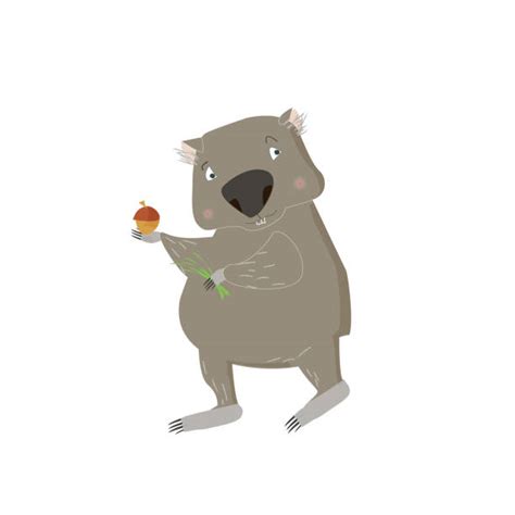 370 Wombats Drawings Stock Illustrations Royalty Free Vector Graphics