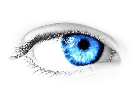 Including transparent png clip art, cartoon, icon, logo, silhouette, watercolors, outlines, etc. Eye transparent PNG image