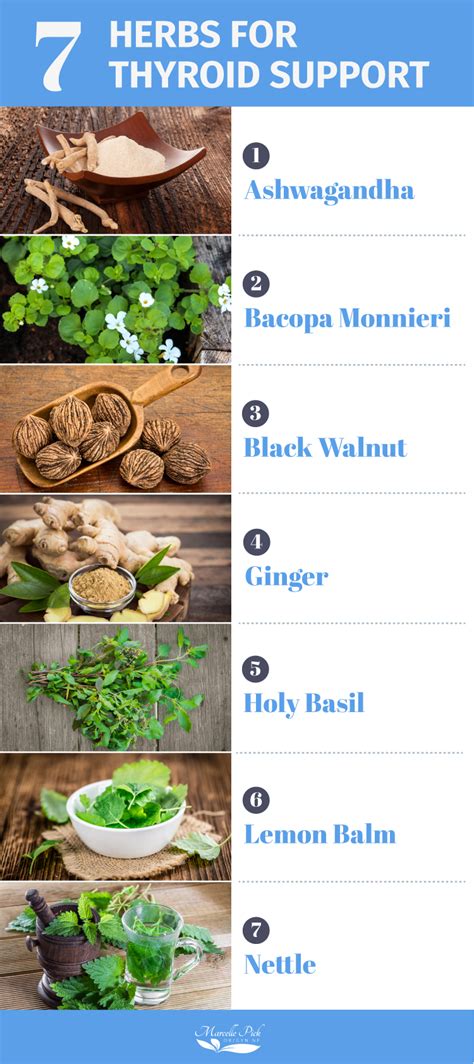 Herbs For Thyroid Support Marcelle Pick Obgyn Np