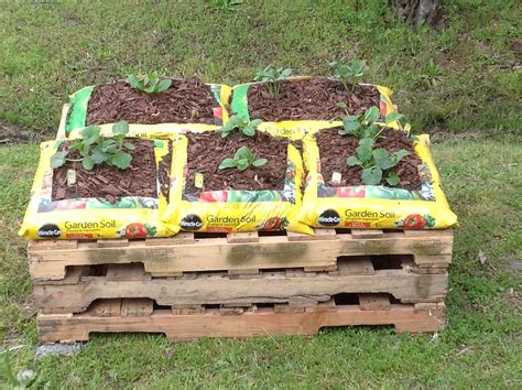 My Weekend Project 3 Pallets 5 Bags Miracle Grow Potting Soil 14