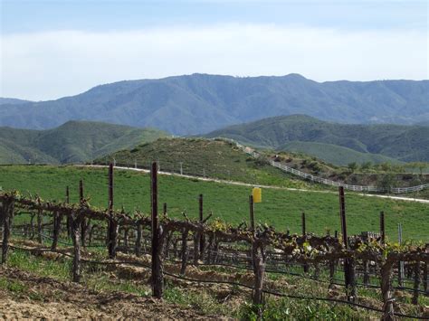 Californian Wine Adventure – Temecula Valley | Missinwine