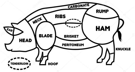 Corte De Juego De Cerdo Póster Carnicero Diagrama Esquema Y Guía