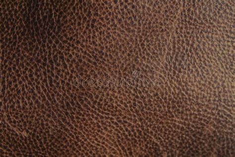 Brown Leather Background Or Texture Stock Photo Image Of Grain Black