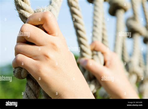 Hand Holding Climbing Ropes Stock Photo Alamy