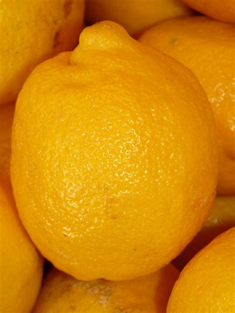 Free Images Fruit Produce Macro Yellow Healthy Close Tangerine
