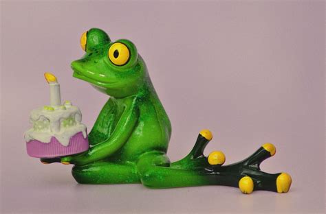 Happy Birthday Geburtstag Frosch · Kostenloses Foto Auf Pixabay