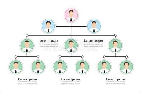 Organization Chart Stock Vector Illustration Of Corporate 189043788