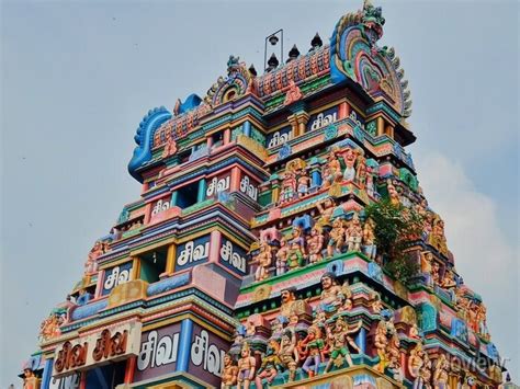 Architecture Of Arulmigu Sarangapani Swamy Temple In Kumbakonam Wall
