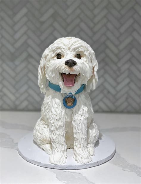 [homemade] dog cake, let me know what you think : Baking