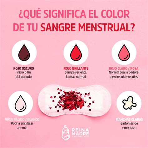 Colores De Menstruación Y Significado Palacetips