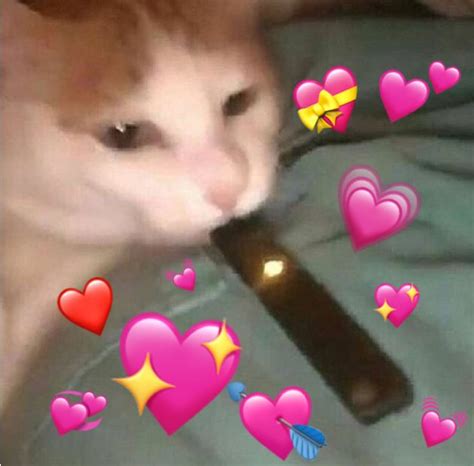 Crying Cat Meme Heart Emojis Finally Some
