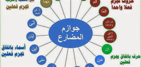 مفهوم الفروق الفردية :هي الانحرافات الفردية عن متوسط المجموعة في صفة أو أكثر و( الفروق الفردية ) بهذا المصطلح تتضح للمعلم في غرفة صفه بصور ة جلية، أكثر مما. المجزومات خريطة مفاهيم للمنصوبات - Kharita Blog