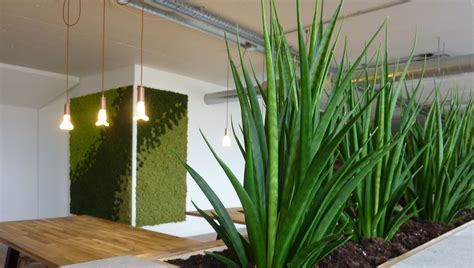 Plants And Green Walls Help When Bringing The Outside Indoors