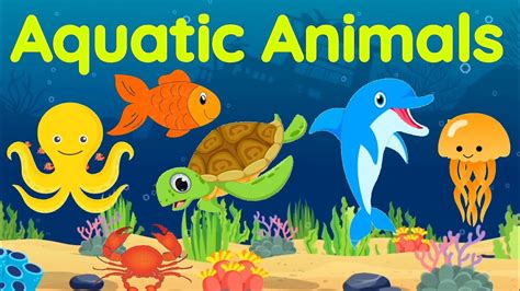 Aquatic Animals Sea Animals Aquatic Animals For Kids Sea Animals