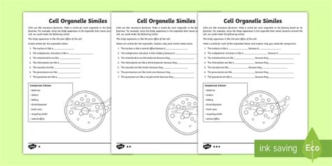 Cell Organelle Worksheets With Answers Science Resources