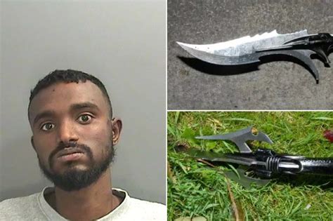 Drug Dealer Jailed For Stabbing Police Officer With Vicious Triple Bladed Dagger Wales Online