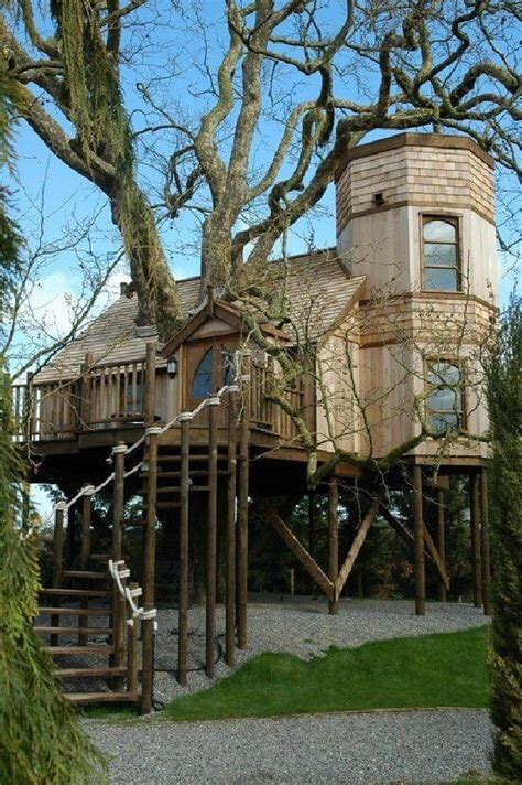 37 Luxury Tree Houses Youd Like To Move Into