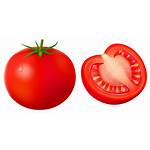 Tomato Clipart Clip Vegetables Transparent Fruit Tomatoes