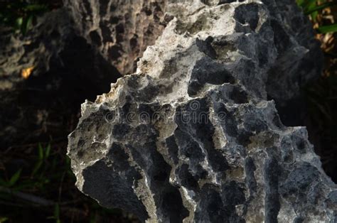 Surface Rocky Limestone Gray Limestone And Background In Thailand