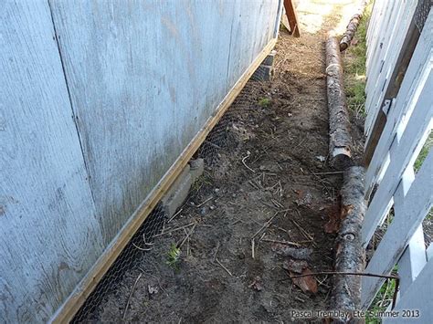 If you get something like mesh, it won't hurt as much as wire. Build Outdoor Aviary - Aviaries Chicken Wire Netting ...