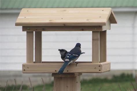 Bird feeder baffle 4x4 post. The 6 Best Post Mounted Bird Feeders - Bird Feeder Hub ...