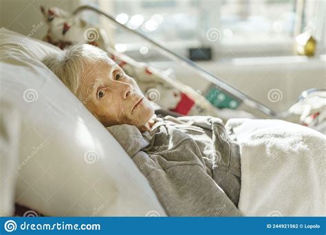 Sick Elderly Senior Woman In A Hospital Bed Stock Photo Image Of