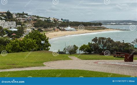 South Africa Garden Avenue Stock Image Image Of Altitude 117417277