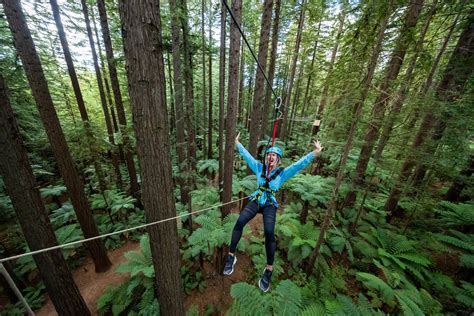 The Ultimate Tree Top Adventure In Rotorua Redwoods Altitude